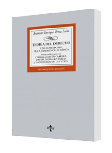 TEORÍA DEL DERECHO (Una concepción de la experiencia jurídica)